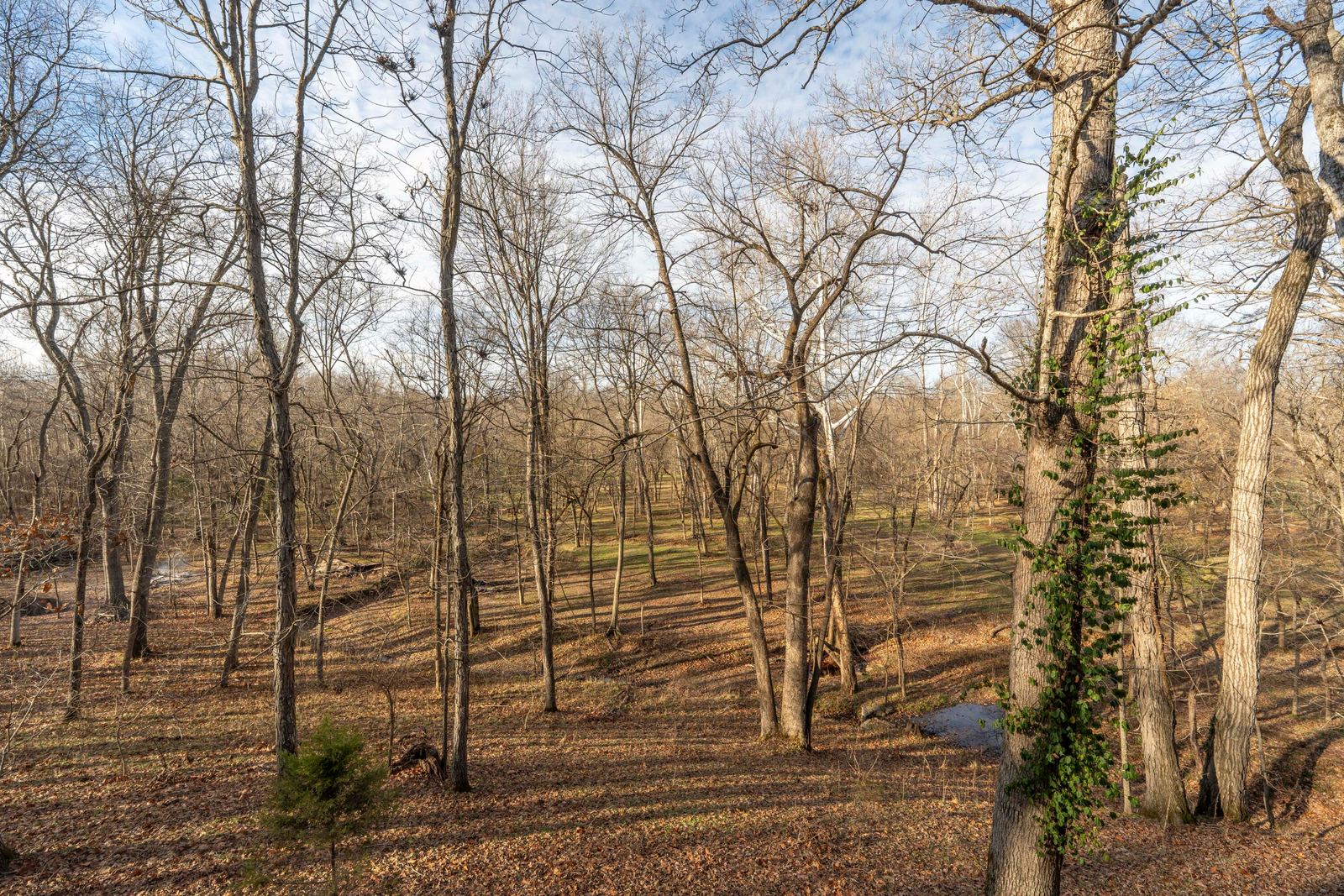 Ridgewood132 at 2907 S Ridgewood Lane, Springfield, MO 65809