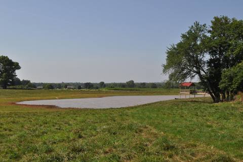 DSC_0014 at Tract 4 N Farm Road 175, Springfield, MO 65803