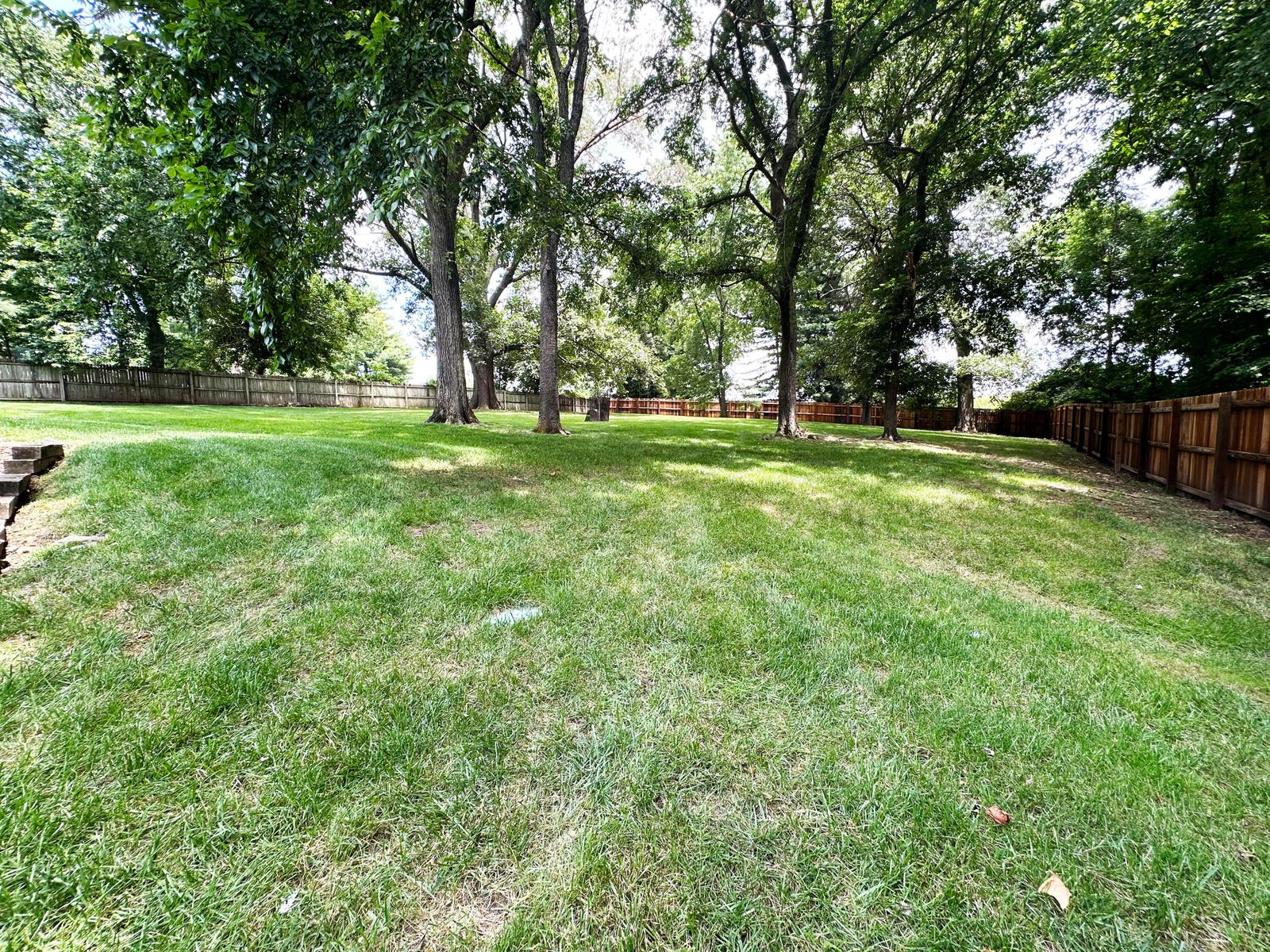 IMG_7516-a at 2550 E Sparkleberry Lane, Springfield, MO 65804