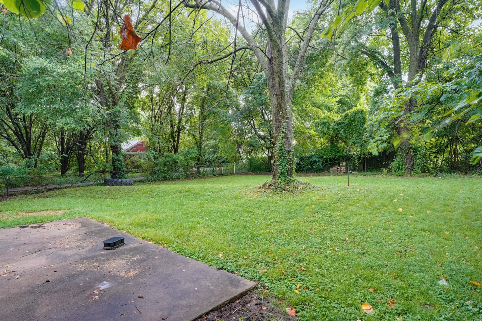 DSC03151 at 2203 N Kentwood Avenue, Springfield, MO 65803