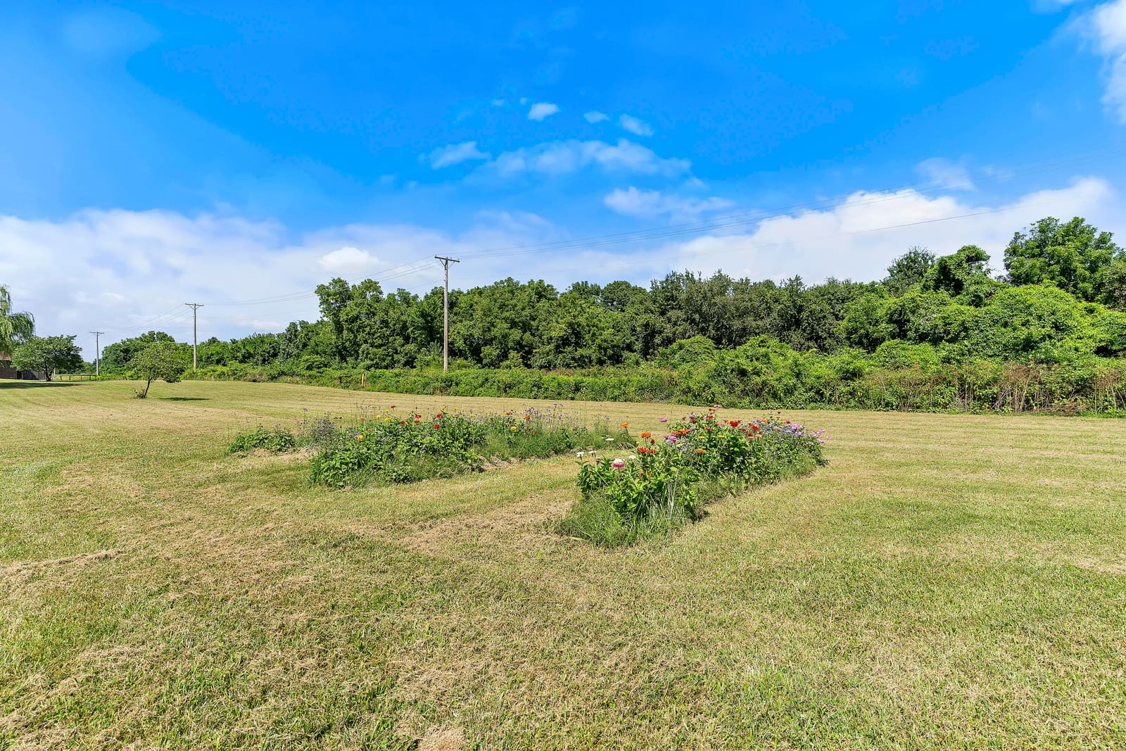 7103 W Farm Road 94-3 at 7103 W Farm Road 94, Springfield, MO 65803