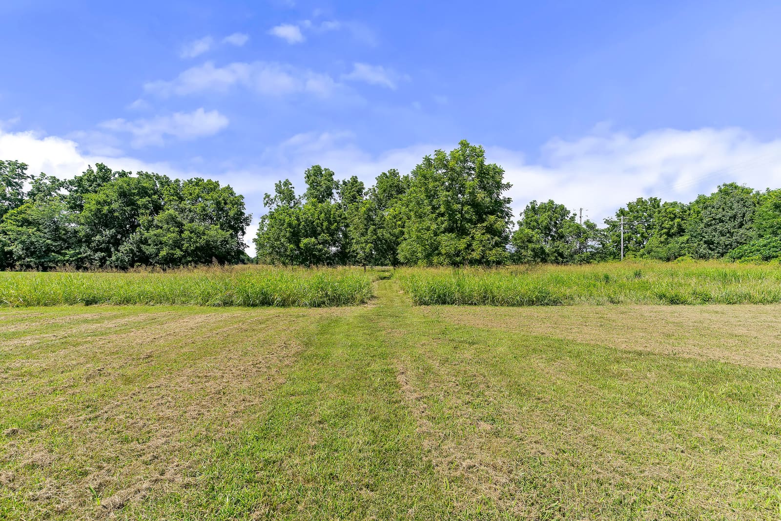 7103 W Farm Road 94-57 at 7103 W Farm Road 94, Springfield, MO 65803