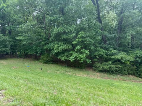 Front of 5156 N Missouri Oak Trail, Springfield, MO 65803