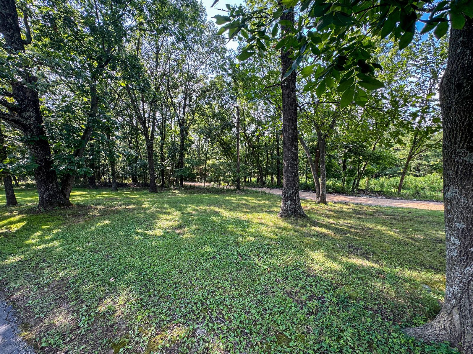 IMG_9317 at 2902 W Farm Road 88, Springfield, MO 65803