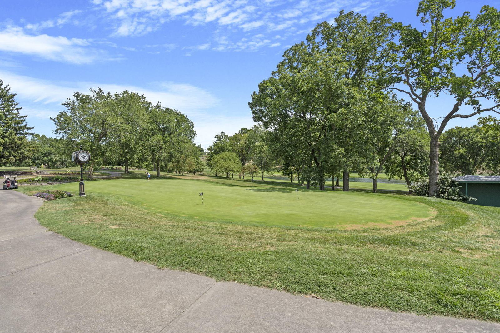 100-web-or-mls-11-web-or-mls-DSC08935 at 3936 E Glen Abbey Drive, Springfield, MO 65809