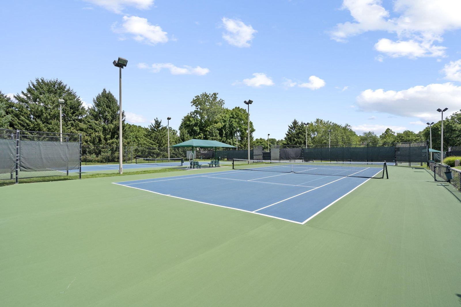 106-web-or-mls-DSC08932 at 3936 E Glen Abbey Drive, Springfield, MO 65809