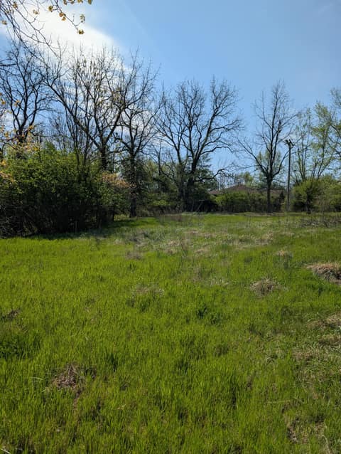 Front of 3624 N Farm Road 147, Springfield, MO 65803