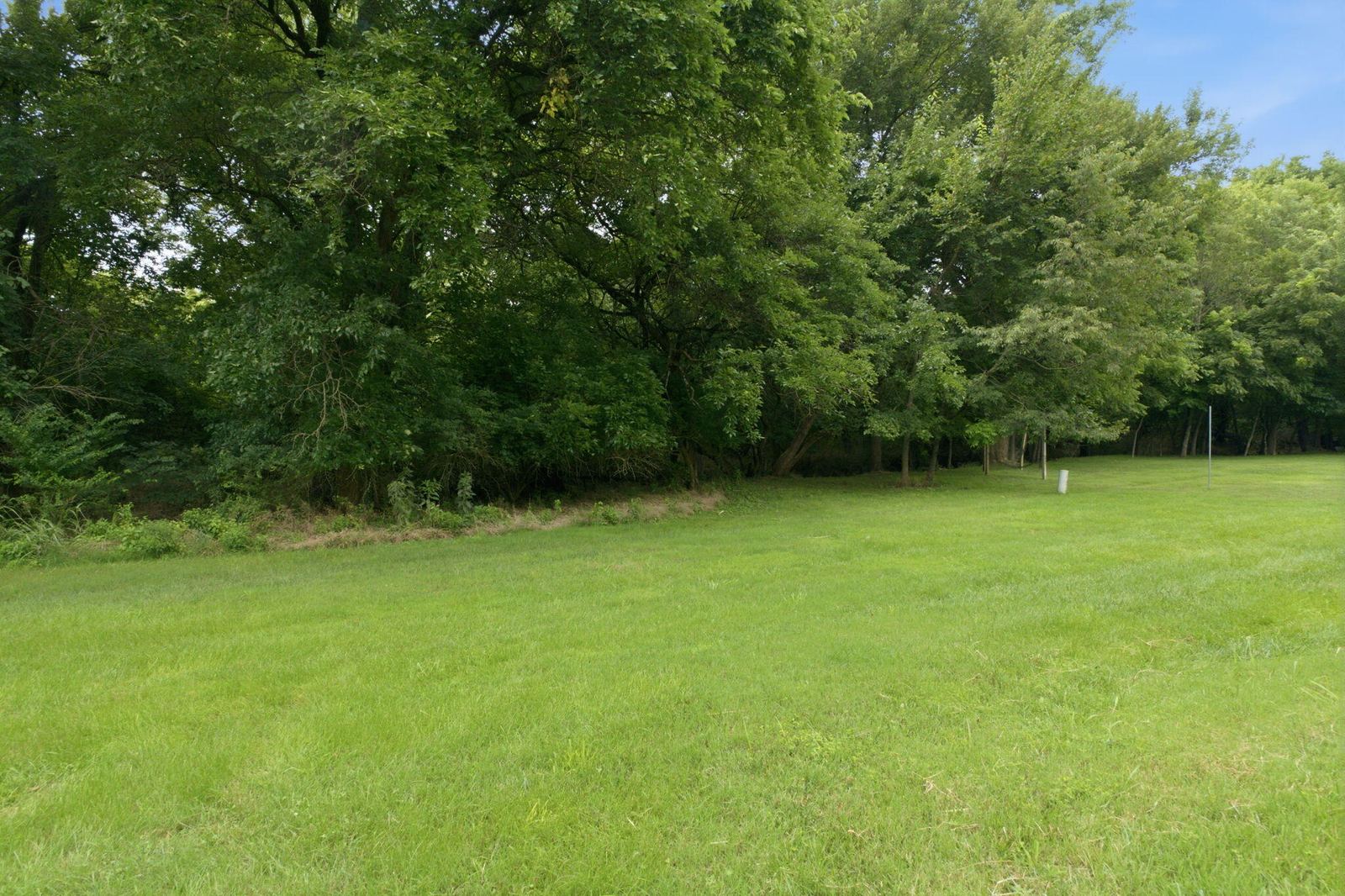 IMG_1804 at 831 N Grapevine Road, Springfield, MO 65802