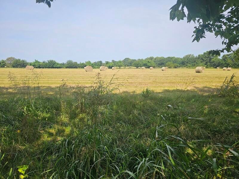 ten acres of hay field at 3117 N Farm Road 123, Springfield, MO 65803