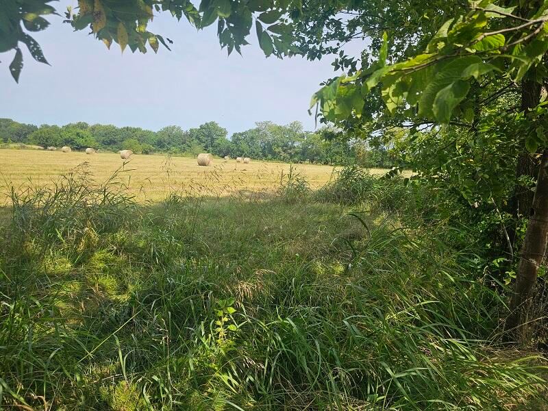 Hayfield 2 at 3117 N Farm Road 123, Springfield, MO 65803