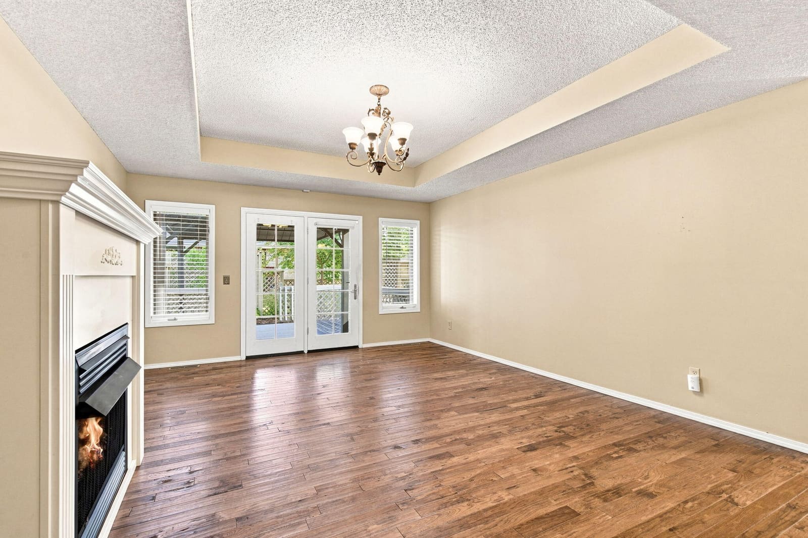 8-web-or-mls-DSC00972_with_fire at 1255 E Lafayette Court, Springfield, MO 65804
