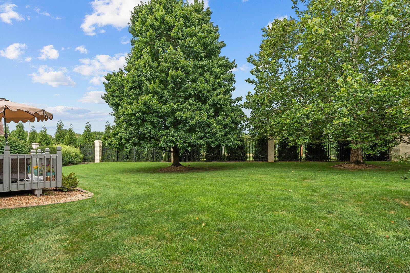 DSC06569 at 3725 E Cromwell Lane, Springfield, MO 65802