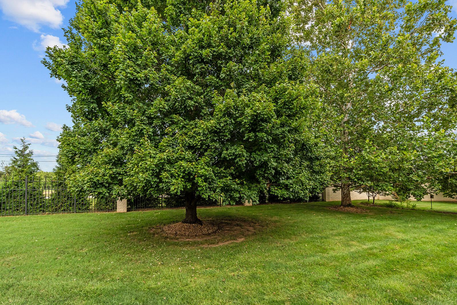 DSC06575 at 3725 E Cromwell Lane, Springfield, MO 65802