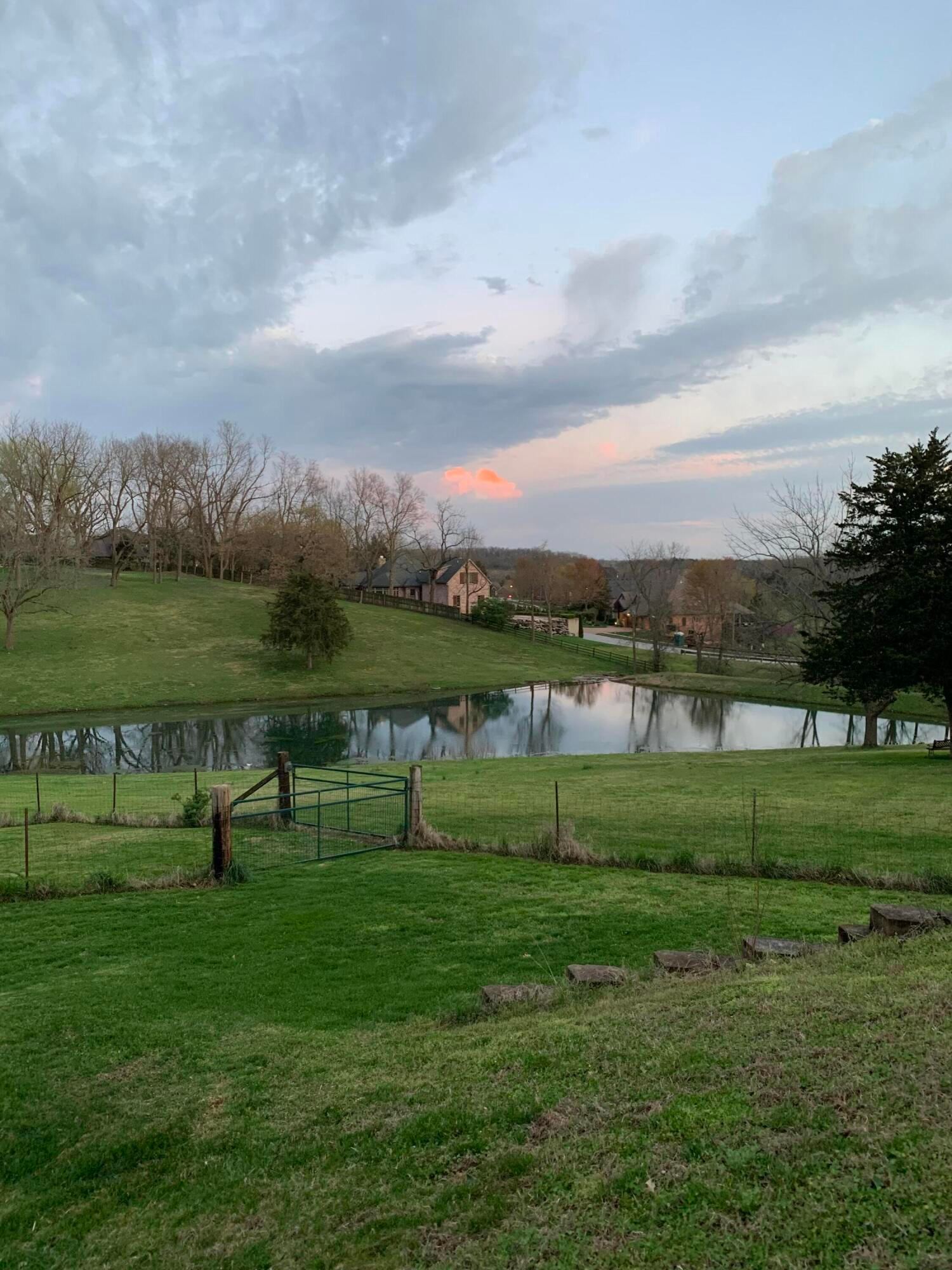 IMG_3652 at 3060 W Ellison Drive, Springfield, MO 65810